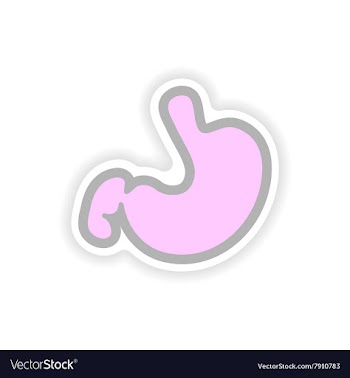 Paper sticker on white background human stomach vector image