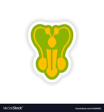 Paper sticker on white background man penis vector image