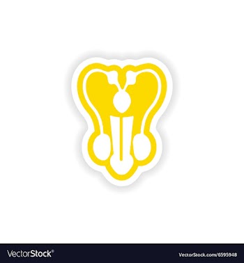Paper sticker on white background man penis vector image