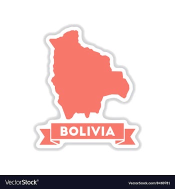 Paper sticker on white background maps of Bolivia vector image