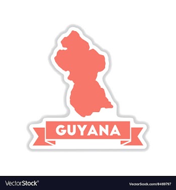 Paper sticker on white background maps of Guyana vector image