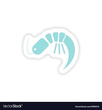 Paper sticker on white background ocean shrimp vector image