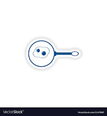Paper sticker on white background pan fried eggs vector image