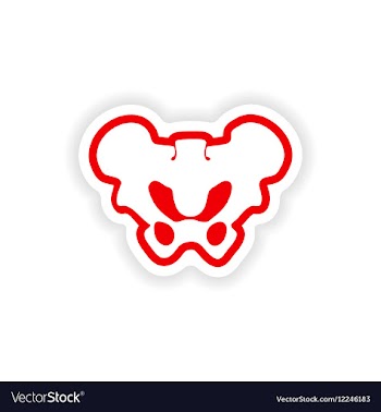 Paper sticker on white background pelvic bones vector image