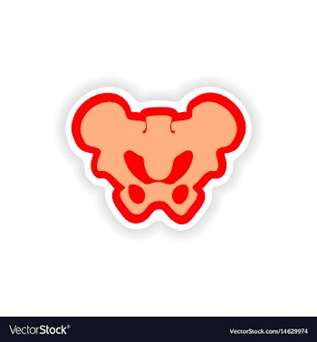 Paper sticker on white background pelvic bones vector image