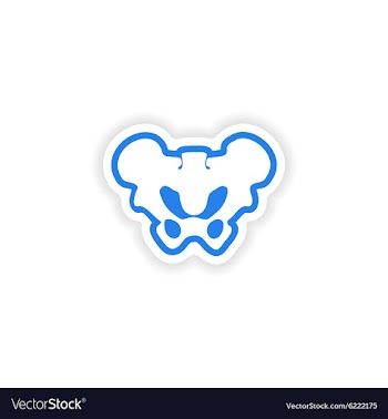 Paper sticker on white background pelvic bones vector image