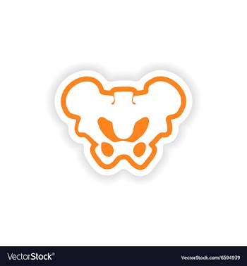 Paper sticker on white background pelvic bones vector image