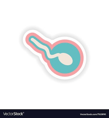 Paper sticker on white background sperm and female vector image