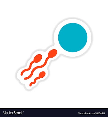 Paper sticker on white background sperm egg vector image