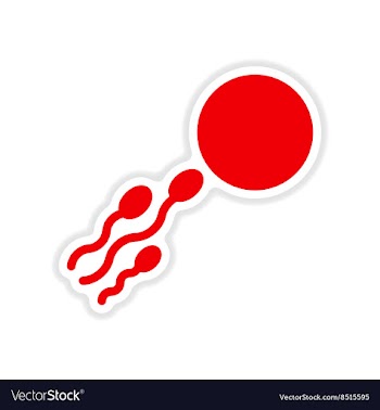 Paper sticker on white background sperm egg vector image