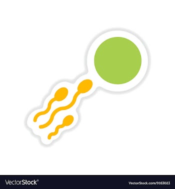 Paper sticker on white background sperm egg vector image