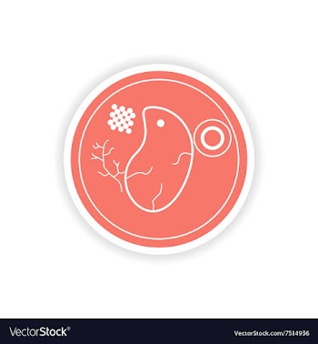 Paper sticker on white background steak meat vector image