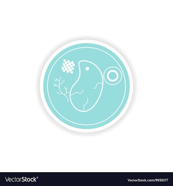 Paper sticker on white background steak meat vector image