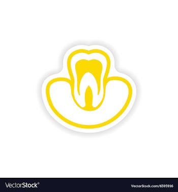 Paper sticker on white background tooth in gums vector image
