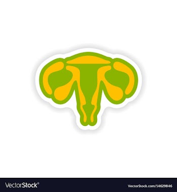 Paper sticker on white background woman vagina vector image