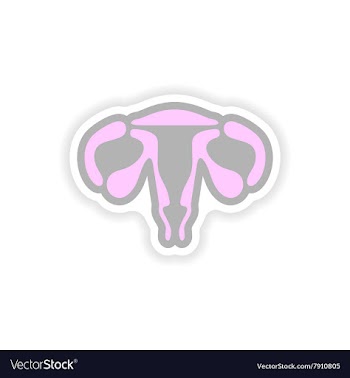 Paper sticker on white background woman vagina vector image