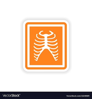 Paper sticker on white background X-rays of ribs vector image