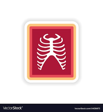 Paper sticker on white background x-rays of ribs vector image