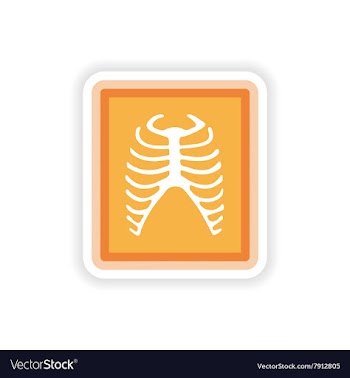 Paper sticker on white background X-rays of ribs vector image