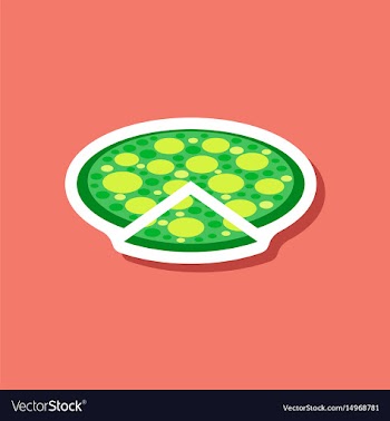 Paper sticker pizza vector image