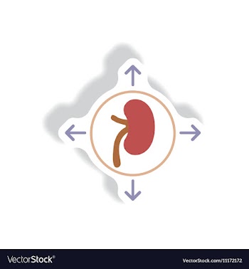 Paper sticker various symptoms of Malaria vector image