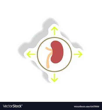 Paper sticker various symptoms of Malaria vector image