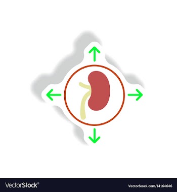Paper sticker various symptoms of malaria vector image