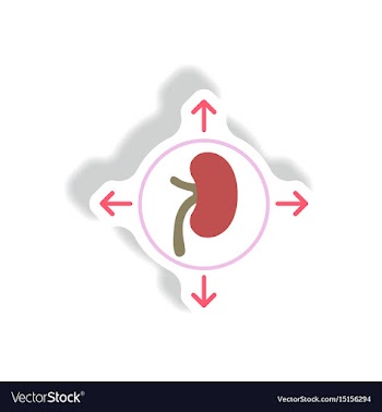 Paper sticker various symptoms of malaria vector image
