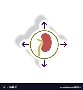 Paper sticker various symptoms of malaria vector image