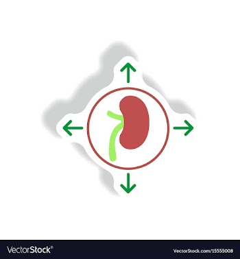 Paper sticker various symptoms of malaria vector image