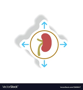 Paper sticker various symptoms of malaria vector image