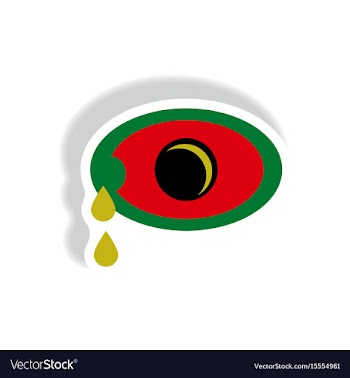 Paper sticker various symptoms of zika on vector image