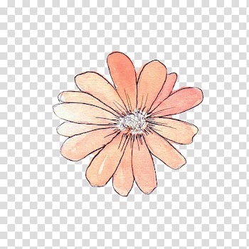 Paper Sticker Watercolor painting Gift Business, pastel flower transparent background PNG clipart