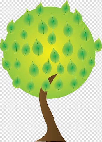 Paper Tree Drawing , tree transparent background PNG clipart