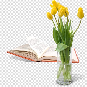 Paper Vase 3D printing, Flowers and books transparent background PNG clipart