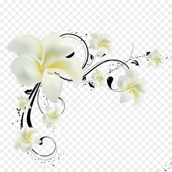 Paper Wall Television Wallpaper - Flowers 