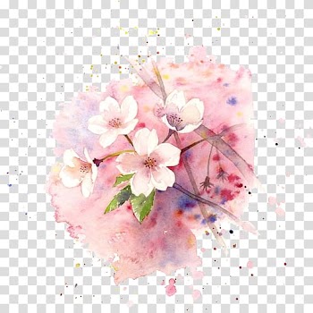 Paper Watercolor painting Drawing Art, Pink peach transparent background PNG clipart