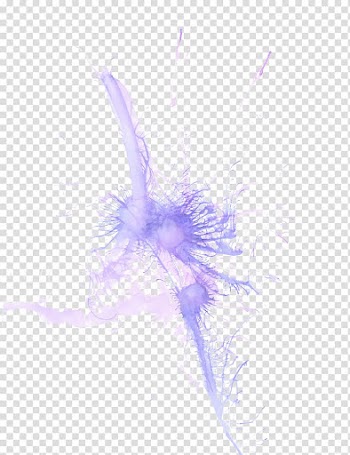 Paper Watercolor painting Drawing Art, watercolour transparent background PNG clipart