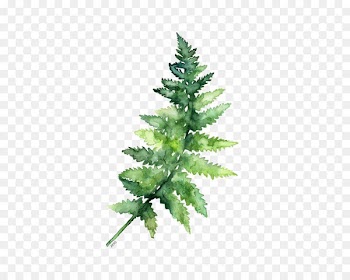 Paper Watercolor painting Fern Printing - Green leaves 