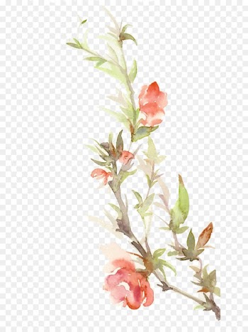 Paper Watercolor painting Floral design - Peach color ink picture material 