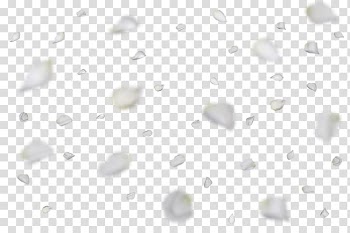 Paper White Pattern, White roses floating transparent background PNG clipart