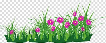 Paperback Notebook Book cover, Flower bushes transparent background PNG clipart