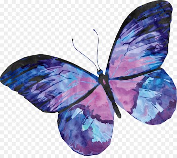 Papillon dog Butterfly Watercolor painting - butterfly 