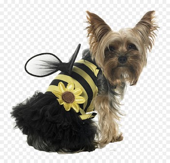 Papillon dog Puppy Bee Cat Costume - Cute dog clothes 