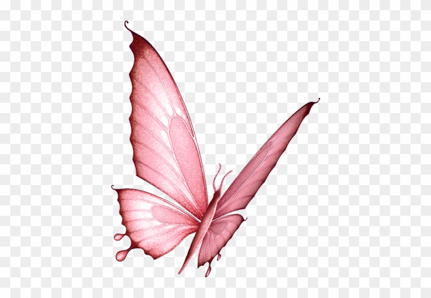 Papillons Borboletas, Arte De Borboleta, Insetos, Flora, - Papillons Borboletas, Arte De Borboleta, Insetos, Flora,