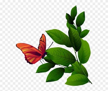 Papillons - Tree