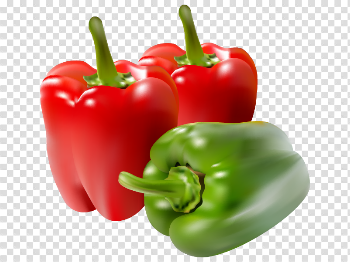 Paprika Download PNG Image