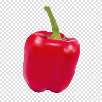 Paprika PNG Free Download