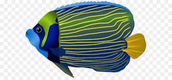 Papua New Guinea Underwater Ocean Fish Sea - Blue Fish PNG Clip Art Image 