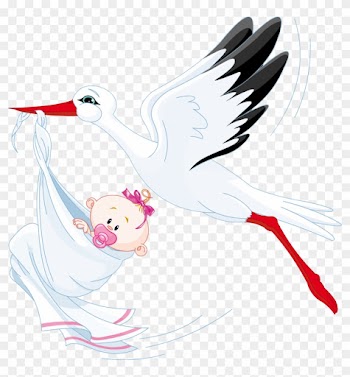 Para Mis Montajes De Photoshop C6 Y Corel Draw - Stork With Baby